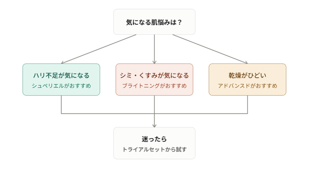 エリクシール 悩み別フローチャート